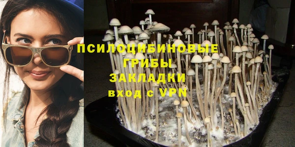 ГАЛЛЮЦИНОГЕННЫЕ ГРИБЫ Бугульма