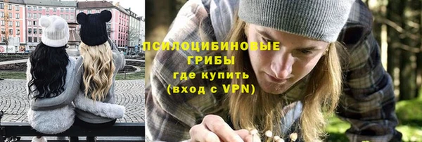 ГАЛЛЮЦИНОГЕННЫЕ ГРИБЫ Бугульма