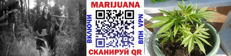 Купить закладки  Сельцо  Конопля план 